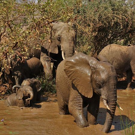 Lions Place Grietjie Game Reserve Εξωτερικό φωτογραφία