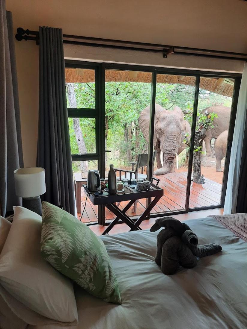 Lions Place Grietjie Game Reserve Εξωτερικό φωτογραφία