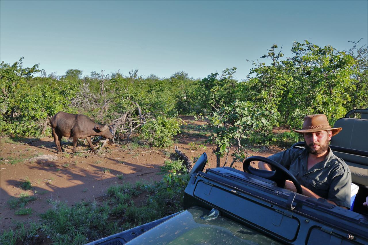 Lions Place Grietjie Game Reserve Εξωτερικό φωτογραφία