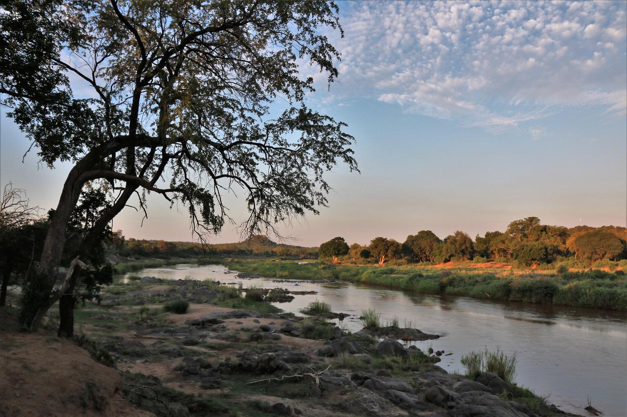 Lions Place Grietjie Game Reserve Εξωτερικό φωτογραφία